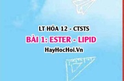 Ester - Lipid là gì? Đặc điểm cấu tạo, tính chất vật lí, hóa học của Ester Lipid, điều chế và ứng dụng? Hóa 12 bài 1 CTST